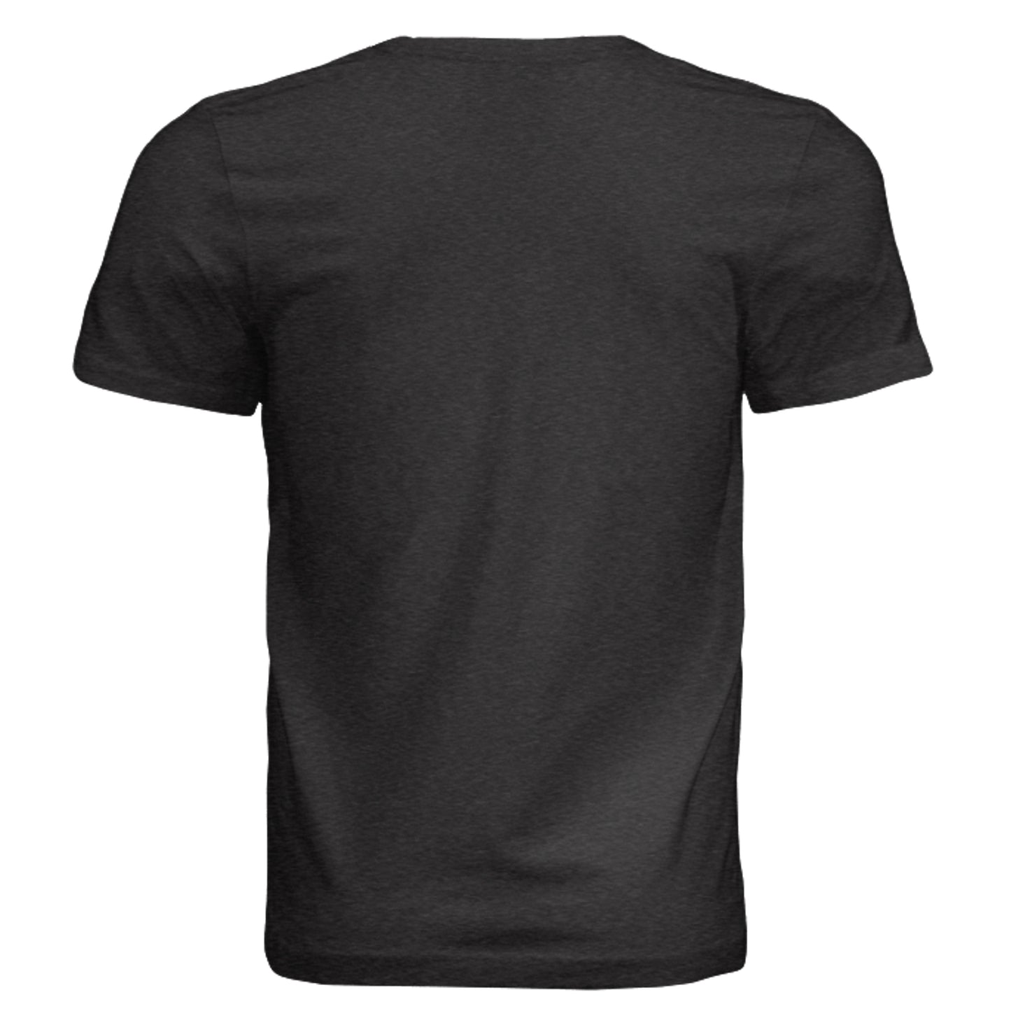 Black Heather Triblend - 3413C - BACK