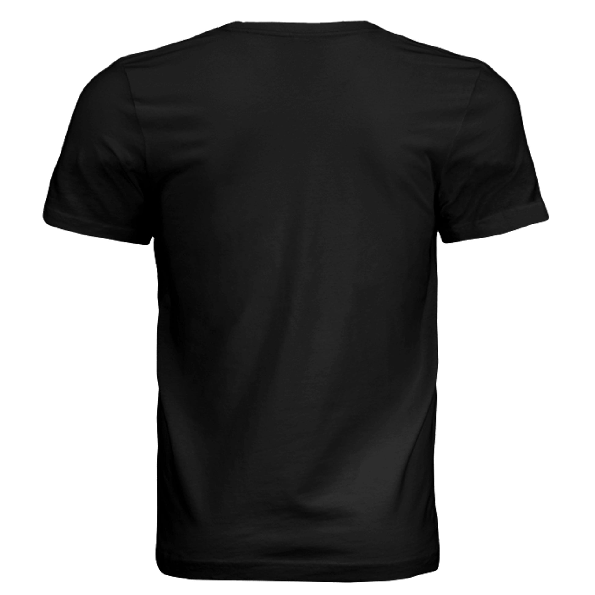 Solid Black Triblend - 3413C - BACK