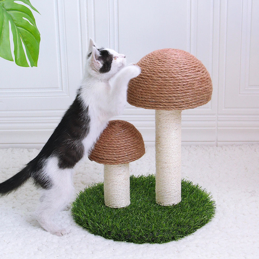 Cute Mushroom Cat Scratching / Cat Scratching Climbing Tree Toy