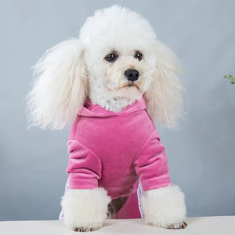 Dog Clothes Autumn Winter One-Piece Jumpsuit