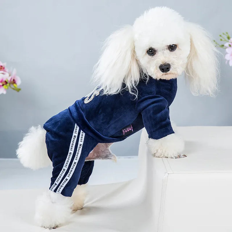 Dog Clothes Autumn Winter One-Piece Jumpsuit