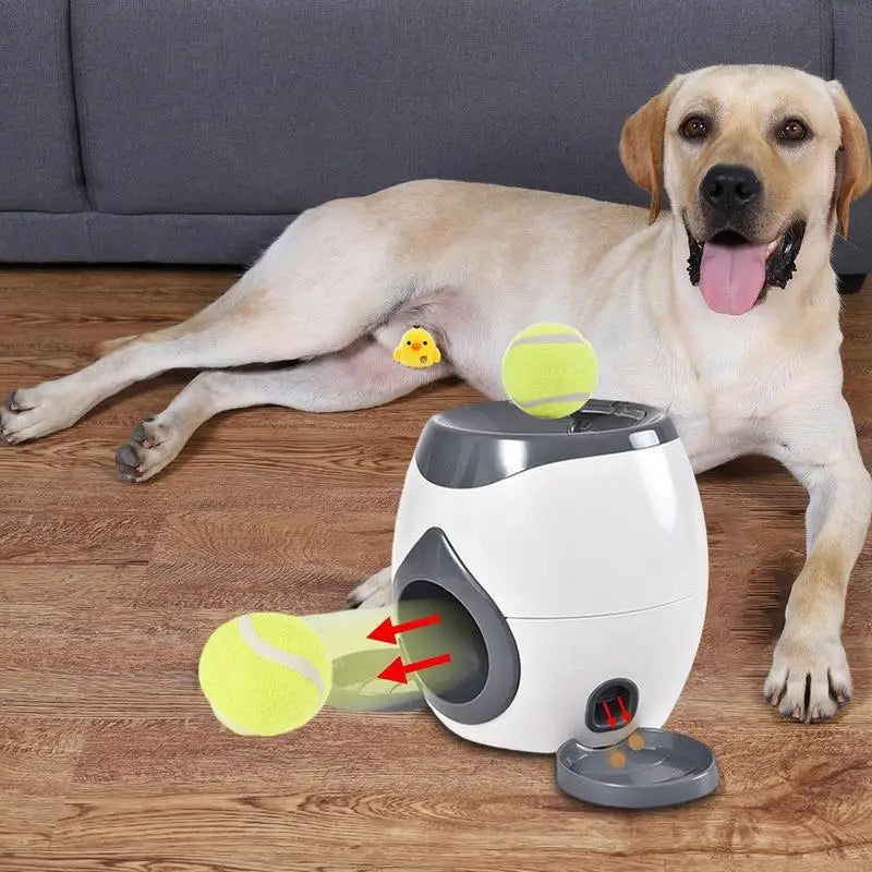 2 in 1 Throwing Machine Pet Ball Toy for All Size Dog